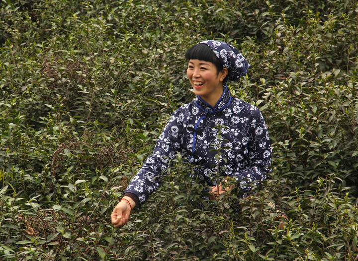 雨伞谋杀案 一对一